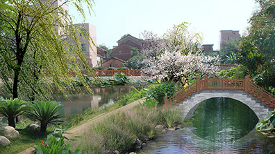 顏值高，亮點顯！因地制宜推進(jìn)美麗圩鎮(zhèn)規(guī)劃設(shè)計