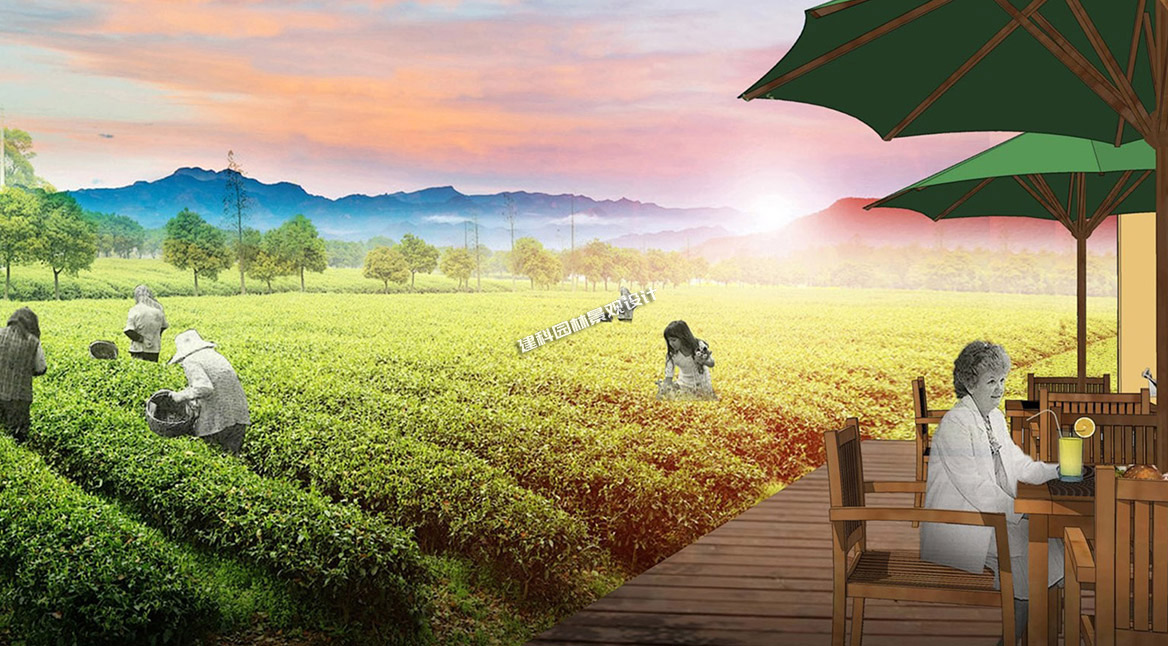 農(nóng)業(yè)園區(qū)休閑景觀(guān)設(shè)計(jì)的特點(diǎn)