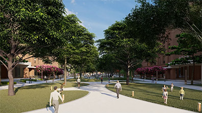 學(xué)校綠地改造設(shè)計的總體布局與功能分區(qū)